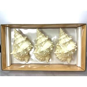 NIB Newport Blue Island Brand Murex Lambi Seashell Candle Set of 3 Coastal Breez